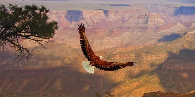 Which is closer to Las Vegas: West Rim or South Rim?